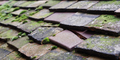 Saltash roof repair costs